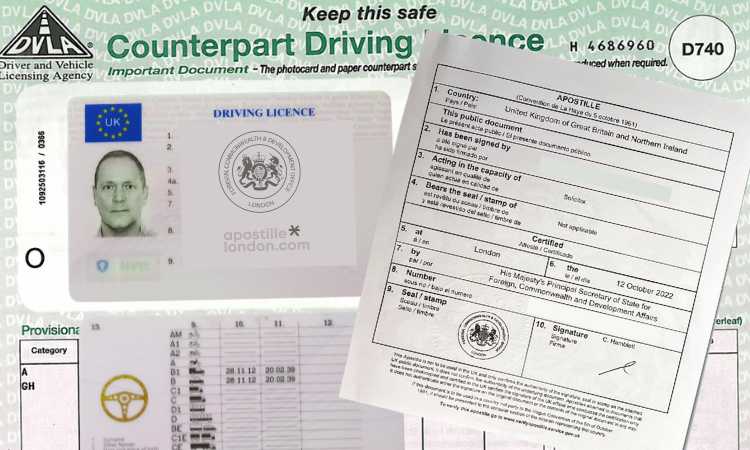 Mock-design of UK driving license and (old) counterpart